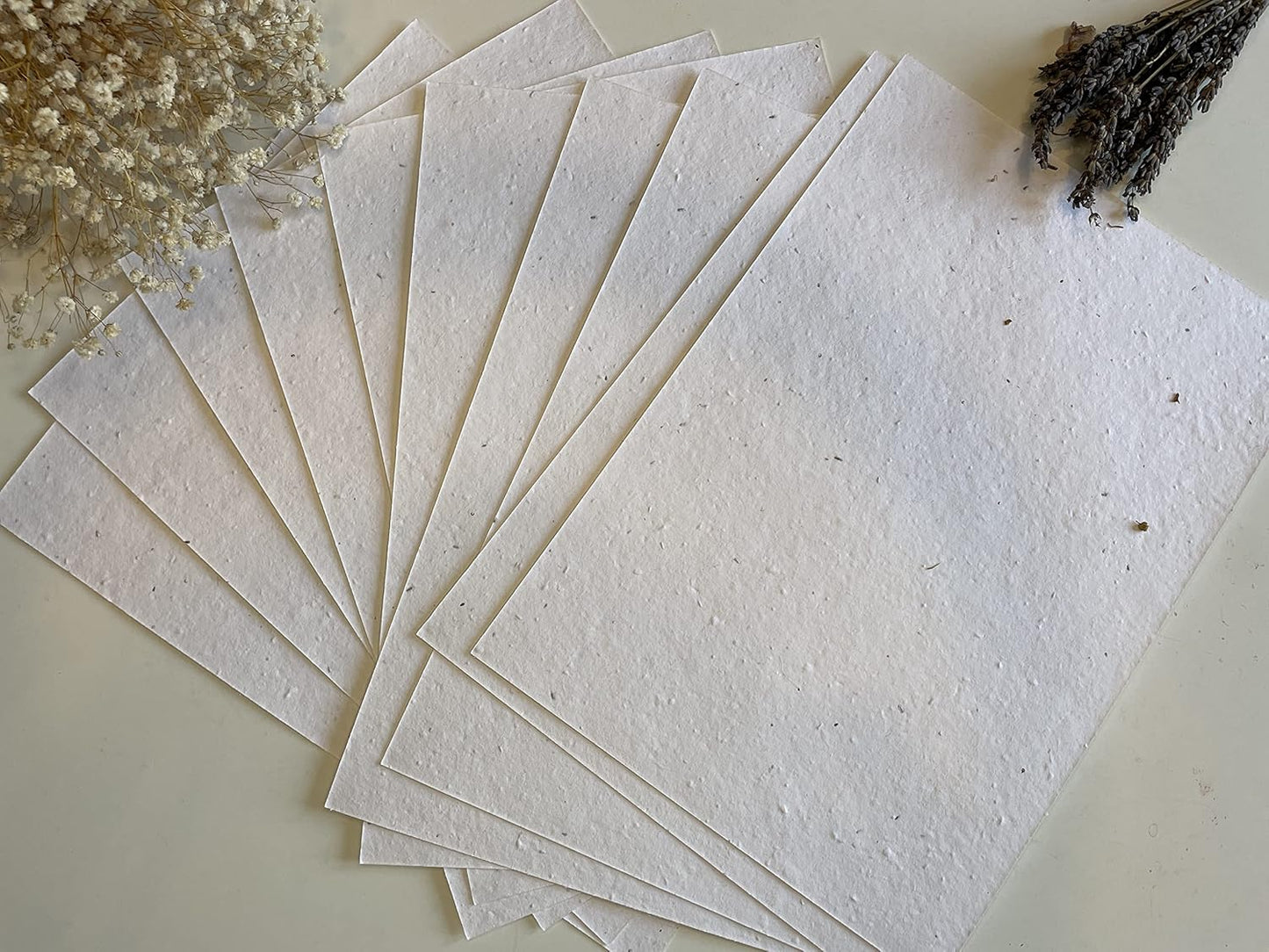 Plantable Seed Paper A5 Pack of 10