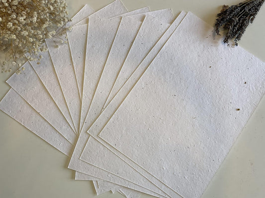 Plantable Seed Paper A5 Pack of 10