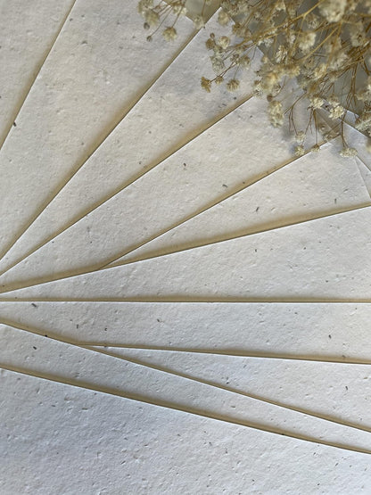 Plantable Seed Paper A5 Pack of 10