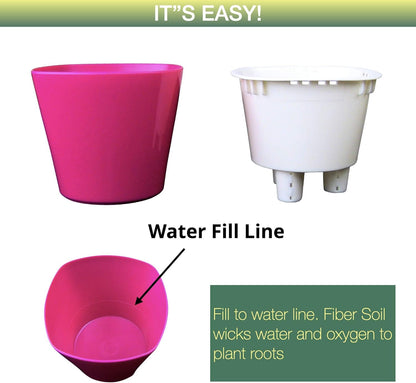 Aquaphoric Self-Watering Mini Planter Pots 3 Pack
