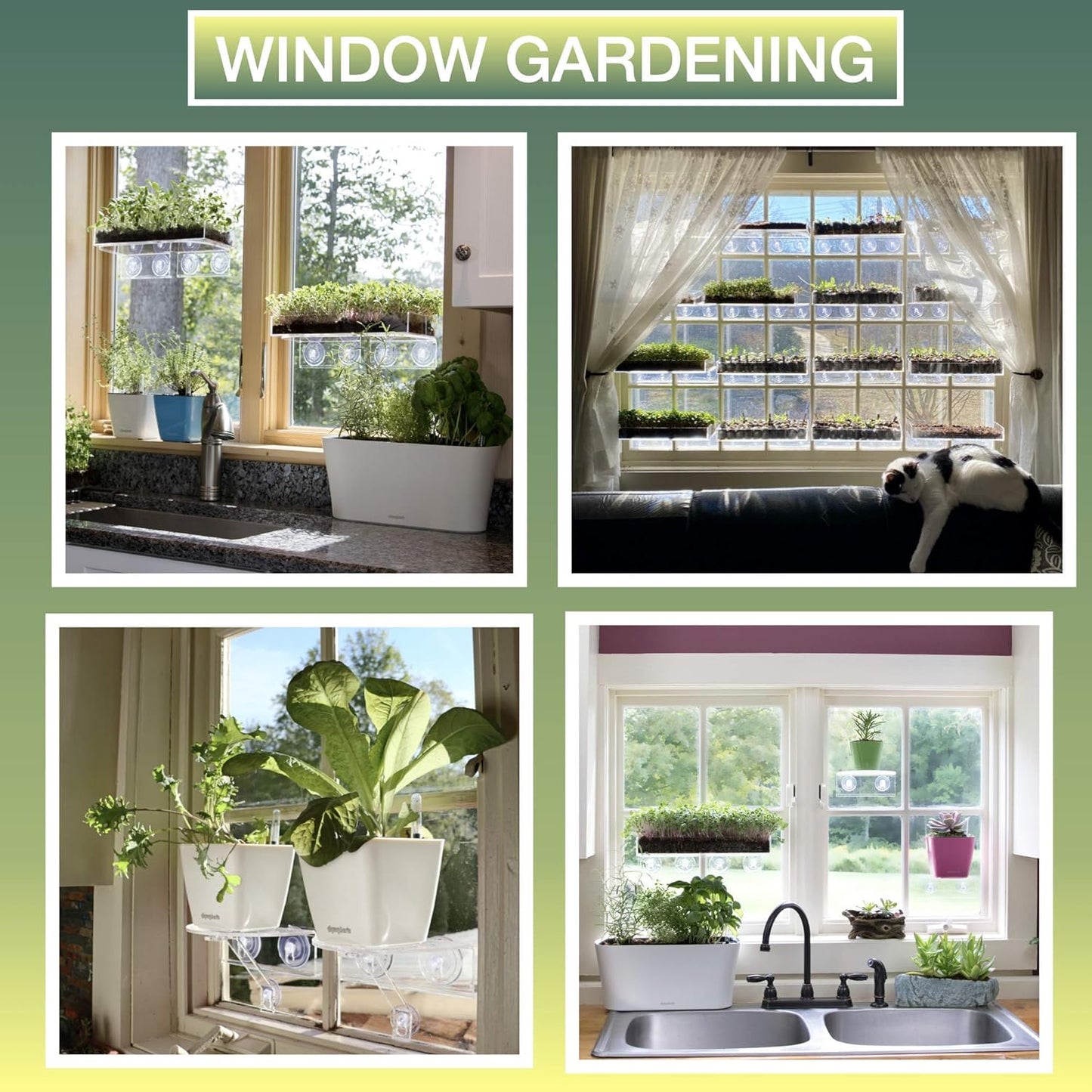 Aquaphoric Self-Watering Mini Planter Pots 3 Pack